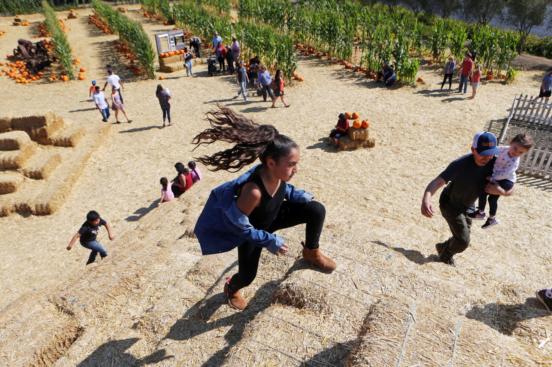 Stanly Lane Pumpkin Patch, Napa